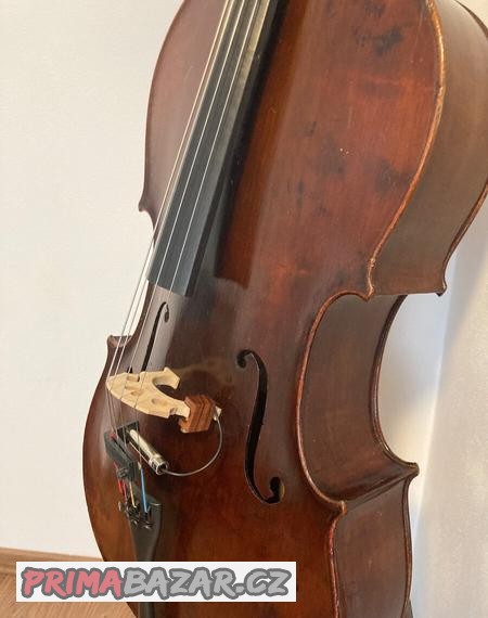 Violoncello