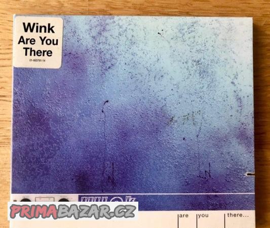 Josh Wink - Are You There