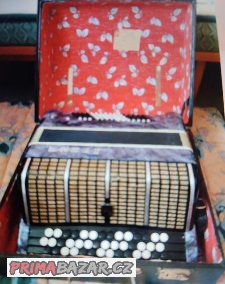 harmonika