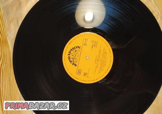 Lp vinyl Citron Vypusťte psi