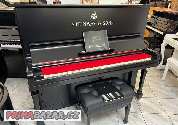 steinway-sons-se-zarukou-doprava-zdarma