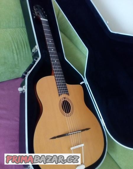 Cigano GJ-10