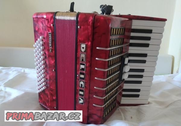 prodam-akordeon-delicie-junior-60-basu
