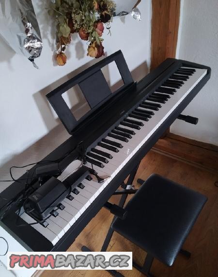yamaha-p45b