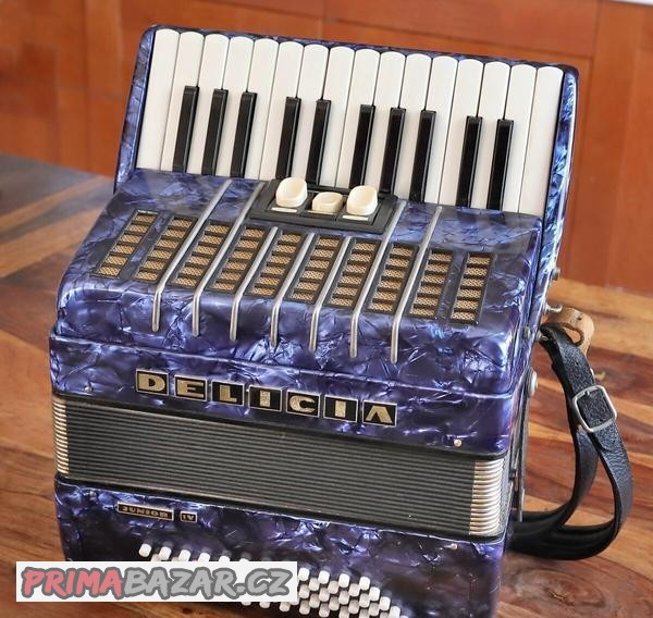 harmonika-delicia-junior