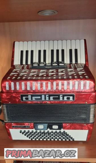 akordeon-delicia-junior-23