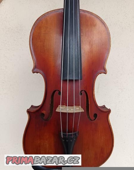 Viola 37,7