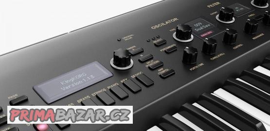 korg-kingkorg-black-limited-edition