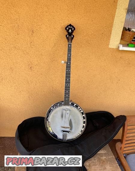 Banjo Ulma M .