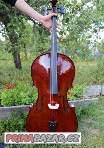 celomasivni-violoncello-7-8