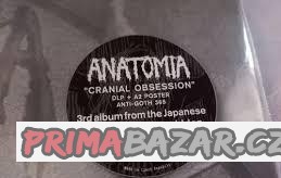 Lp Anatomia-Cranial Obsesion