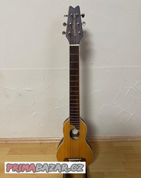 Washburn Rover R010