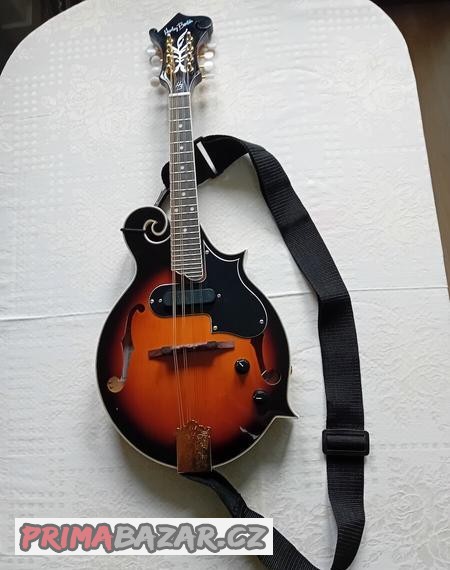 Elektroakustická mandolína