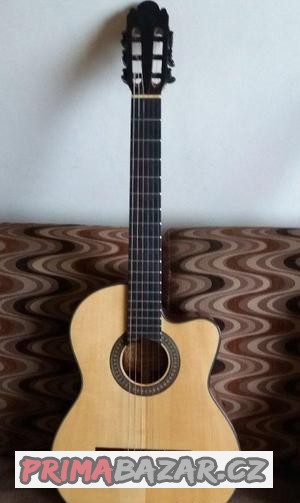 Prodám kytaru Pasadena AG100