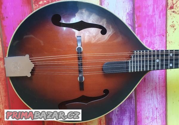 Celomasivní akustická mandolína FURCH model tvaru A