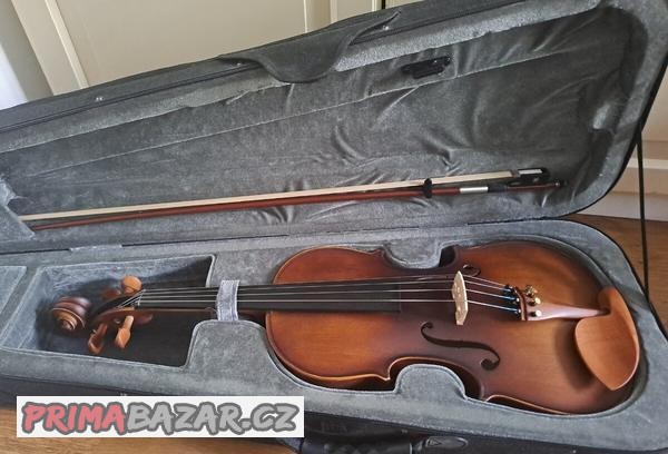 Viola