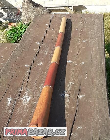Didgeridoo 005