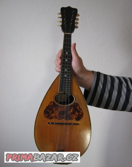 MANDOLÍNA WASHBURN