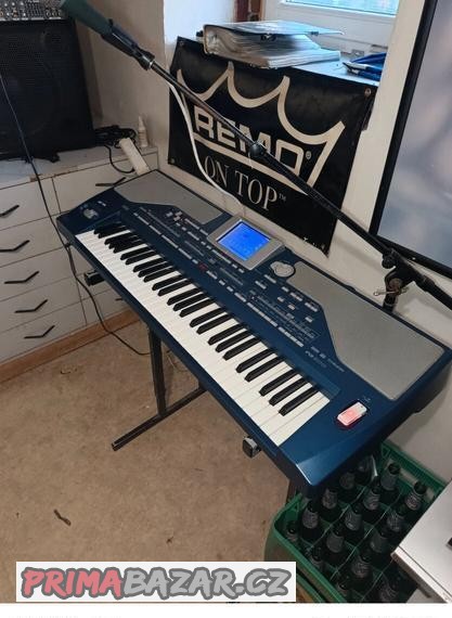 korg-pa-800