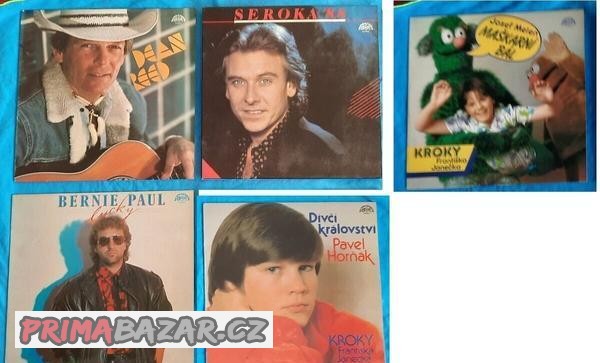 Vinylové LP desky