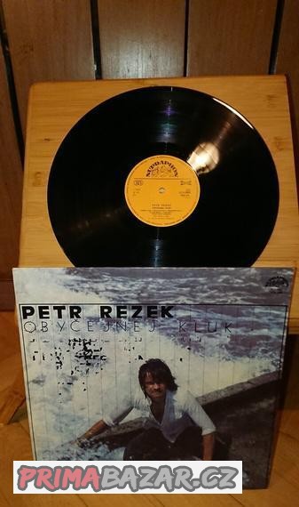 LP / vinyl