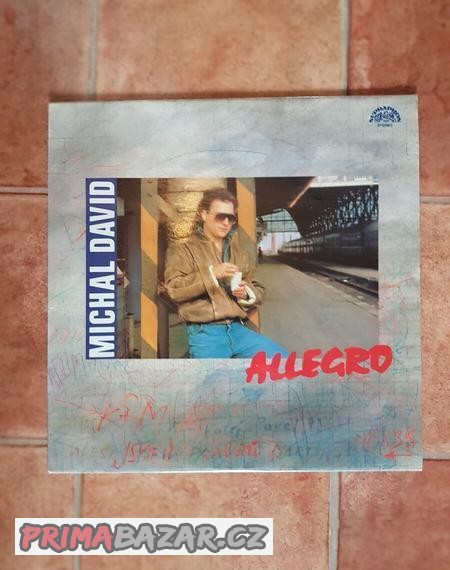 Michal David - Allegro (LP)