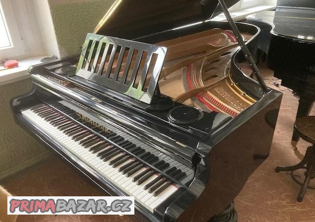 kridlo-b-sendorfer