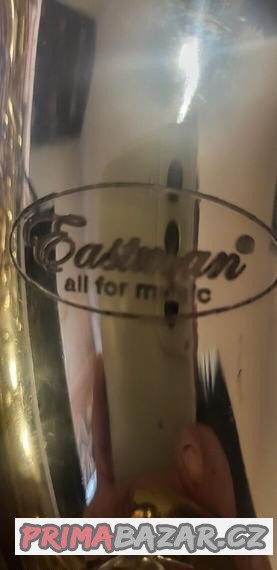 Alt saxofon zlatý