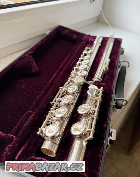 pr-fletna-amati-kraslice-afl-212s