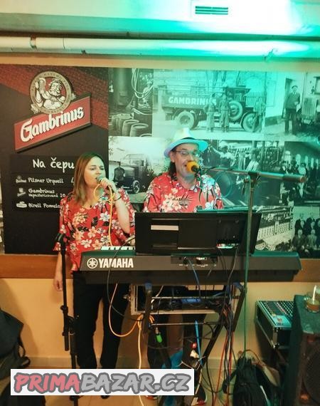 hudebni-duo-venda-band