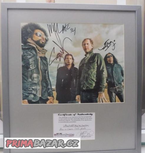 Akcia - Alice In Chains; Blondie + COA