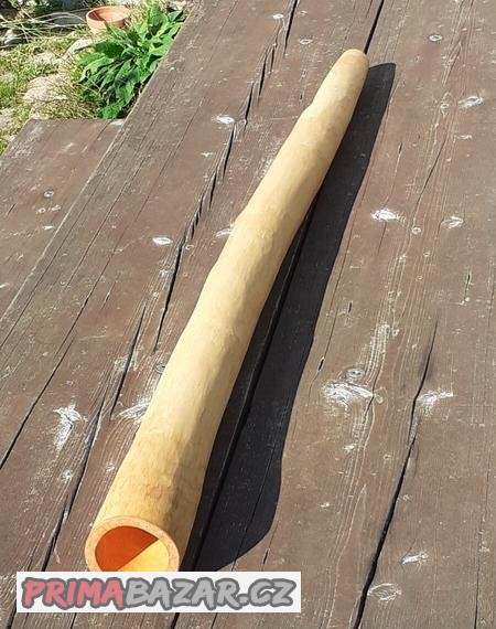 Didgeridoo 081