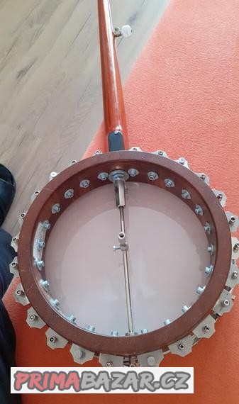 5 str.banjo