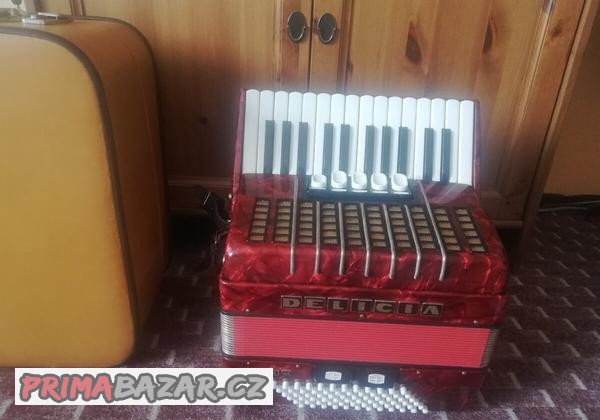 akordeon-harmonika-junior-72-basu-kufr