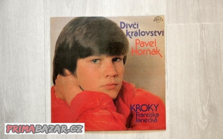 LP deska vinyl 