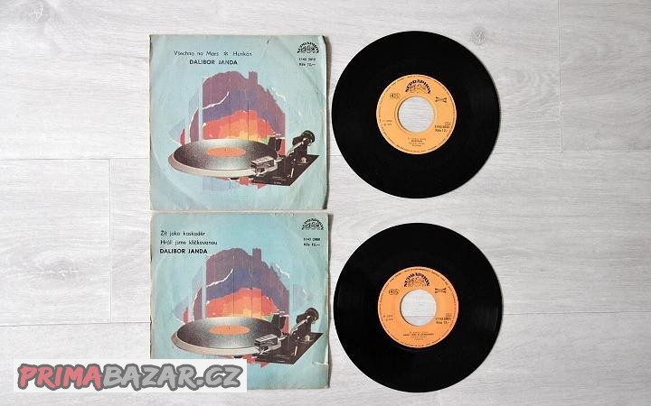 LP deska vinyl malá 2x 