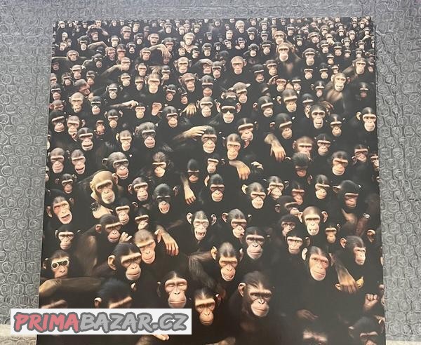 Viktor Sheen - Planeta opic podepsaný vinyl