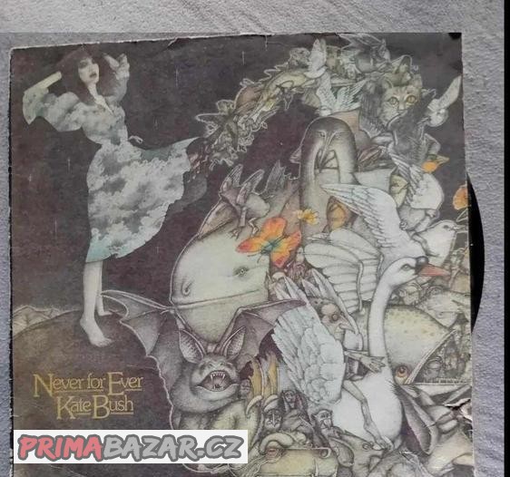 LP sbírka Bowie,Kate Bush,Elton John,Bob dylan ,Luboš P.