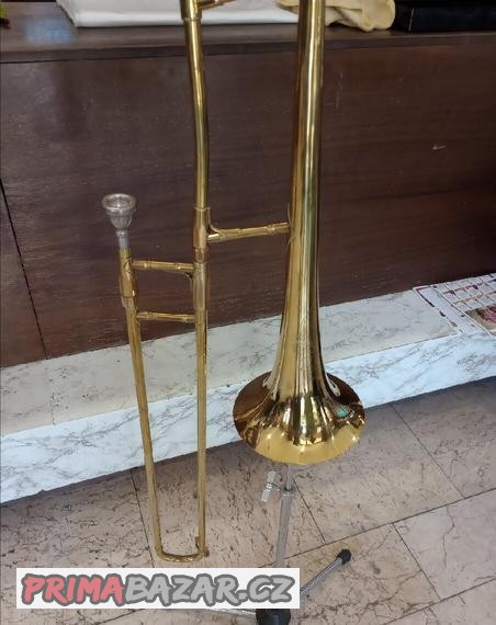 Pozoun Amati