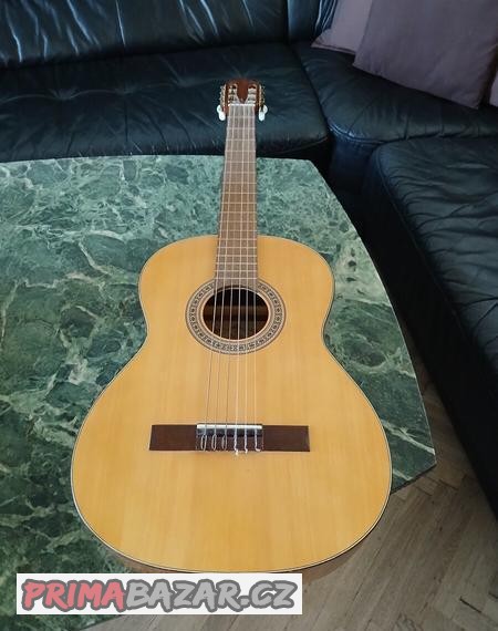 Kytara Amada model 5452