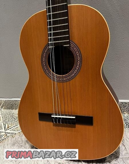 Kytara Ortega R180