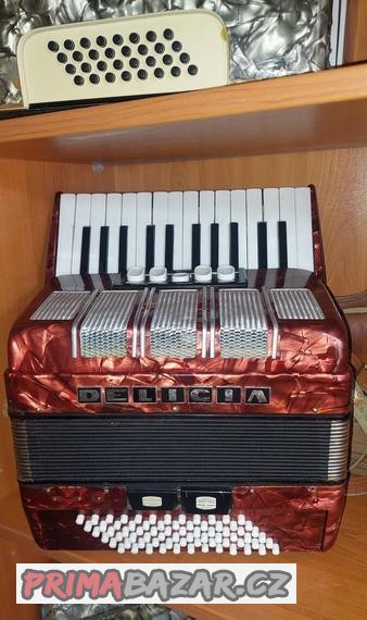 Akordeon Delicia Junior 72bas