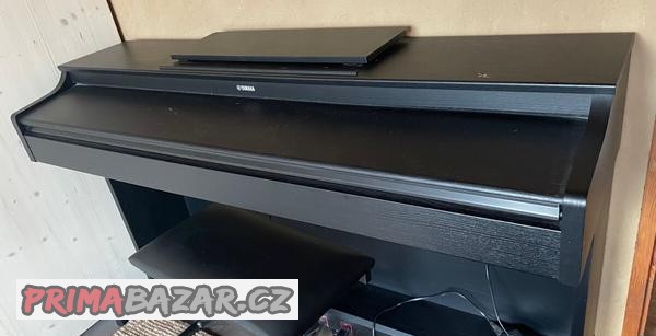 Yamaha ydp-163