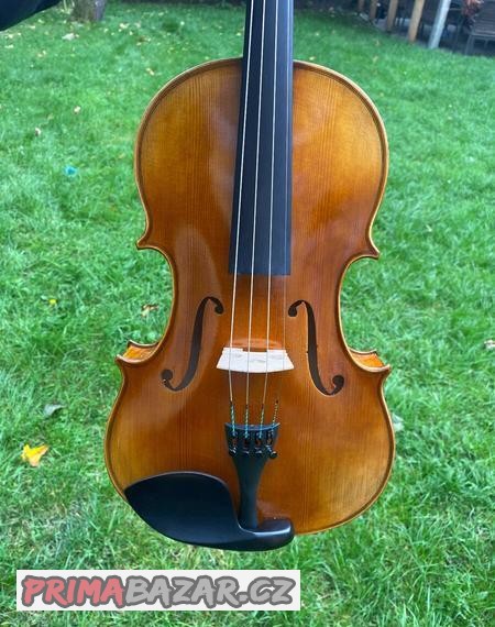 viola