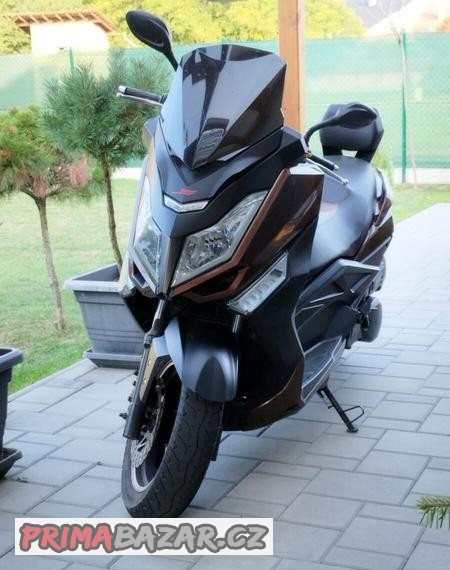 kentoya-maximus-125
