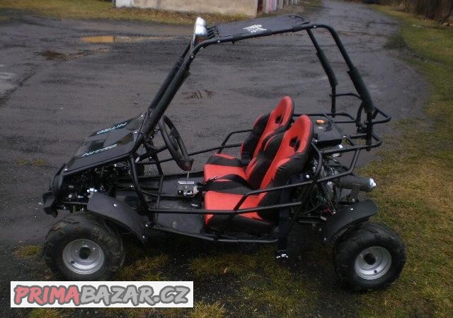 buggy