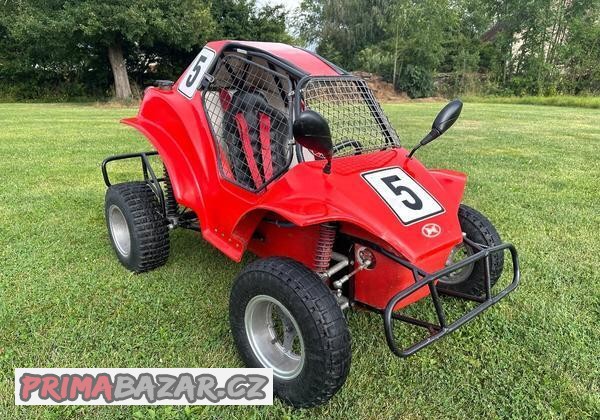 prodam-buggy-havel