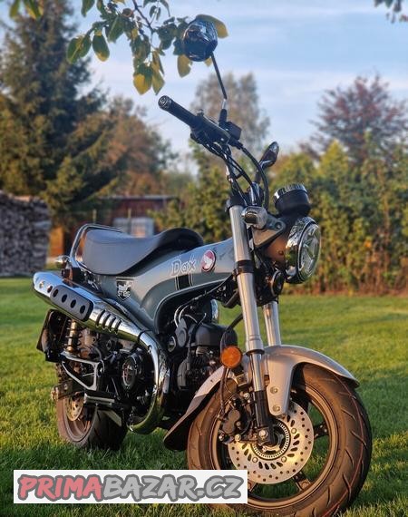honda-dax