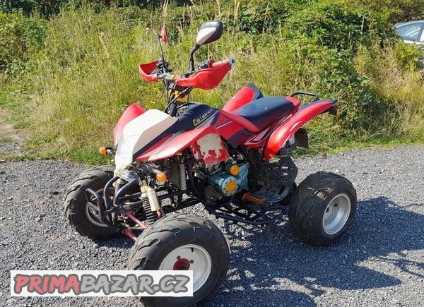 bashan-250
