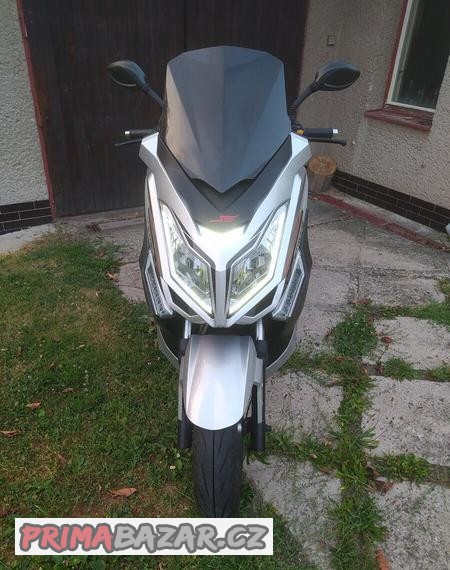 kentoya-maximus-125